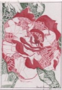 Daniel France (Guyana, Ex Guyane Britannique, Amérique Du Sud) - Aquarelle Sur Papier, Rose Simple, 24 X 30 Cm, 1996 - Aquarelles