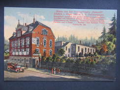 AK ELLEFELD B. PLAUEN Edelweiss Ca.1920 // D*28666 - Plauen