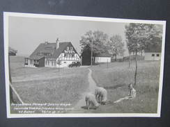 AK GEISING Erzgebirge Gasthaus Vorwerk Ca.1930 // D*28681 - Geising