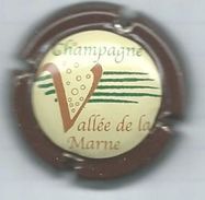 250 CH - CHAMPAGNE VALLÉE DE LA MARNE - CONTOUR MARRON - Vallée De La Marne