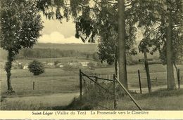 Saint Leger  Vallée Du Ton La Promenade Vers Le Cimetière - Saint-Léger