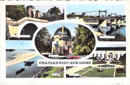 45 - CHATEAUNEUF SUR LOIRE ** Lot De 3 Cartes ** CPSM Dentelée Noir Et Blanc Format CPA - Loiret - Autres & Non Classés