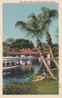 Florida Silver Springs Feeding The Boat Docks Curteich - Silver Springs