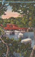 Florida Silver Springs Electric Glass Bottom Boats Leaving Docks 1946 Curteich - Silver Springs