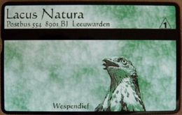 Netherlands - RCZ922.01, Lacus Natura Wespendief, Hawk, 1.000ex, 9/91, Mint - Private