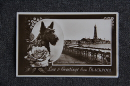 Love And Greetings From  BLACKPOOL - Blackpool