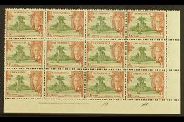 5939 1951 6c Olive & Chestnut "A" OF "CA" MISSING FROM WATERMARK Variety (SG 126b, MP 22b) Within Superb Never Hinged Mi - Dominica (...-1978)