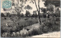 28 - VILLEMEUX -- Dans La Prairie - Villemeux-sur-Eure