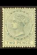 6874 1884-86 2d Grey, SG 23, Fine Mint. For More Images, Please Visit Http://www.sandafayre.com/itemdetails.aspx?s=60280 - Nigeria (...-1960)