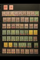 6966 JOHORE 1884-1965 MINT COLLECTION On Stock Pages. Includes 1884-91 Ovpts On 2c X2 Types, 1891-94 Set, 1894 Surcharge - Other & Unclassified