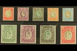 7360 1903 Ed VII Set To £1 Complete, SG 59/66, Very Fine And Fresh Mint. Scarce Set. (9 Stamps) For More Images, Please  - Nyasaland (1907-1953)