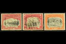 7367 OFFICIAL 1945 (June) Vertical Overprint Set, SG O14/16, Fine Used. (3 Stamps) For More Images, Please Visit Http:// - Bahawalpur