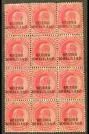 7660 1903 KEVII 1a Carmine (SG 26) - A Never Hinged Mint BLOCK OF TWELVE (3 X 4) Including "BR1TISH" Variety (SG 26b) At - Somaliland (Protectorate ...-1959)