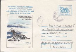 ARCTIC WILDLIFE, HOODED SEAL, COVER STATIONERY, 1996, ROMANIA - Arctic Wildlife