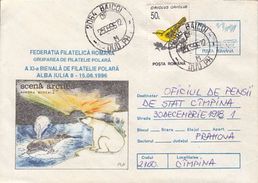 ARCTIC WILDLIFE, POLAR BEAR, WHALE, NORTHERN LIGHTS, COVER STATIONERY, 1996, ROMANIA - Arctic Tierwelt