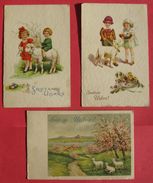 Lot Of 3 Old Postcards, Sretan Uskrs, Easter Greetings - Frohliche Ostern, Lambs And Kids - Easter
