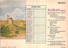 PORTUGAL MATA BORRAO BUVARD BLOTTER  20.8 X 14.7 CMS - 1940 MOULIN MILL MEDECINE ADVERTISING ( 2 SCANS ) - Peintures