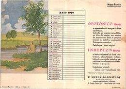 PORTUGAL MATA BORRAO BUVARD BLOTTER  20.8 X 14.7 CMS - 1940 PECHE FISHING MEDECINE ADVERTISING ( 2 SCANS ) - Vernici