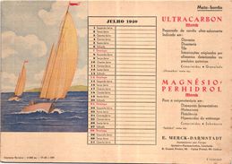 PORTUGAL MATA BORRAO BUVARD BLOTTER  20.8 X 14.7 CMS - 1940 SAILING A VOILE  MEDECINE ADVERTISING ( 2 SCANS ) - Paints