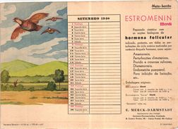 PORTUGAL MATA BORRAO BUVARD BLOTTER  20.8 X 14.7 CMS - 1940 BIRDS OISEAUX MEDECINE ADVERTISING ( 2 SCANS ) - Farben & Lacke