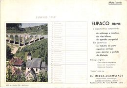 PORTUGAL MATA BORRAO BUVARD BLOTTER  21.2 X 14.5 CMS - 1941  MERCK MEDECINE ADVERTISING - Paints