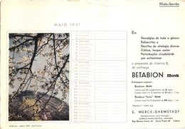 PORTUGAL MATA BORRAO BUVARD BLOTTER  21.2 X 14.5 CMS - 1941  MERCK MEDECINE ADVERTISING - Paints