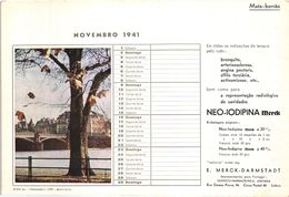 PORTUGAL MATA BORRAO BUVARD BLOTTER  21.2 X 14.5 CMS - 1941  MERCK MEDECINE ADVERTISING - Pinturas