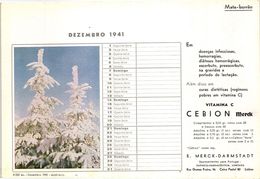 PORTUGAL MATA BORRAO BUVARD BLOTTER  21.2 X 14.5 CMS - 1941  MERCK MEDECINE ADVERTISING - Vernici