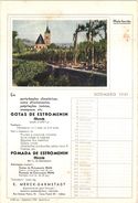 PORTUGAL MATA BORRAO BUVARD BLOTTER  21.2 X 14.5 CMS - 1941  MERCK MEDECINE ADVERTISING - Peintures