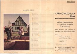PORTUGAL MATA BORRAO BUVARD BLOTTER  21.2 X 14.5 CMS - 1941  MERCK MEDECINE ADVERTISING - Verf & Lak