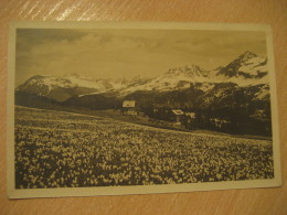 AROSA Pratschli Pension Chalet Guardaval Post Card Grisons GRAUBUNDEN Switzerland - Guarda