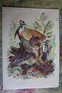 Frolov-  Champignon - OLD Postcard - MUSHROOM 1957 - Woodpecker - Pilze