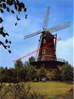 Rooman's Molen - Sint-Pauwels - Sint-Gillis-Waas