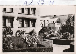 Algerie : Souk-ahras   (le Square Et Le Groupe Scolaire ) - Souk Ahras