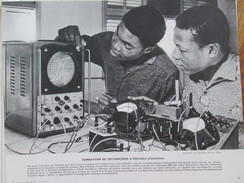 CAMEROUN Formation De Techniciens  1965  Grande Photographie - Cameroon