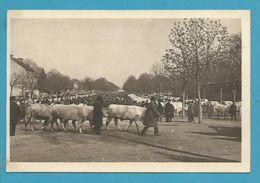 CPA Le Marché Aux Bestiaux MOULINS 03 - Moulins