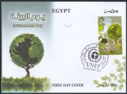 EGYPT 2012 FDC / FIRST DAY COVER ENVIRONMENT DAY UNEP - Storia Postale