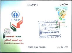 EGYPT 2013 FDC / FIRST DAY COVER WORLD ENVIRONMENT DAY UNEP THINK-EAT-SAVE - Brieven En Documenten