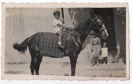 Photo Originale AUBAGNE Cheval Famille Fabrique De Boissons Gazeuses Henri Leroy Route De Roquevaire - Lieux