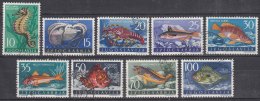 Yugoslavia Republic Sea Fish 1956 Mi#795-803 Used - Oblitérés