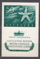 Italy Yugoslavia Trieste Zone B 1952 Seastar And Fish Sassone#3 Mi#Block 2 Mint Never Hinged - Nuevos