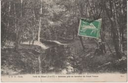 Forêt De Senart - Ruisseau Près Du Carrefour Du Grand Veneur - Sénart