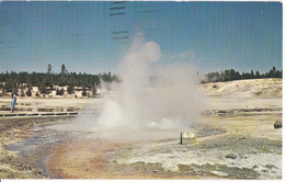 PINWHEEL GEYSER - YELLOWSTONE NATIONAL PARK - Billings