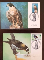 NOUVELLE CALEDONIE, Oiseaux, Pajaros, Aves, Birds, Rapace,  Yvert 542/43 Sur Cartes Maximums FDC - Aigles & Rapaces Diurnes