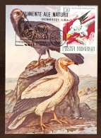 ROUMANIE, Oiseaux, Pajaros, Aves, Birds, Rapace, Yvert 3023 Sur Carte Maximum FDC Obliteration Chouette - Águilas & Aves De Presa