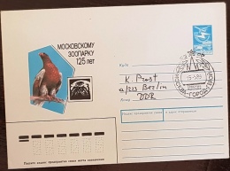 RUSSIE URSS, Oiseaux, Pajaros, Aves, Birds, Rapace, Entier Postal  Avec Obliteration Thematique 1989 (5) - Águilas & Aves De Presa