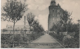 PENSIONNAT DES URSULINES THILDONCK  VUE PRISE DU VERGER - Haacht