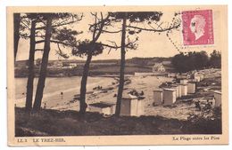 CPSM Plougonvelin 29 Finistère Plage Du Trez Hir Entre Les Pins éditeur LL N°3 écrite Timbrée - Plougonvelin