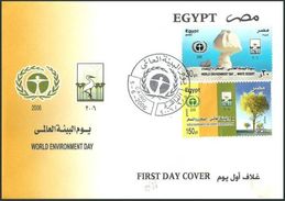 EGYPT 2006 FDC / FIRST DAY COVER World Environment Day - White Desert & Desertification - Brieven En Documenten
