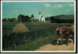 Am Murnauer Moos  -  Kirche Von Weichs  -  Ansichtskarte  Ca.1955    (7854) - Dachau